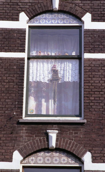 Aelwijn Florisstraat 30