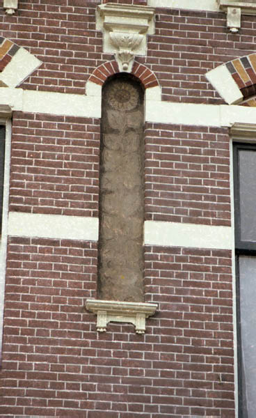 Provenierssingel hoek Versijdenstraat bloem